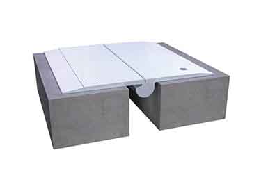 InPro&reg; 806 Floor Expansion Joint Covers